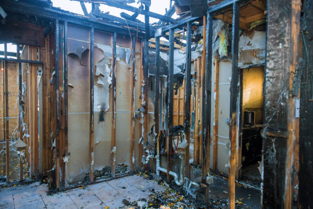 Professional Fire Damage Removal technician working in Windermere, FL