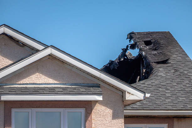 Top rated local Fire Damage Removal specialists in Windermere, FL